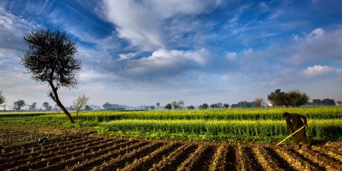 3840x2561 agriculture, Farm, Landscape, Nature, Sky, Countryside, Pakistan, Field,  People Wallpapers HD / Desktop and Mobile Backgrounds