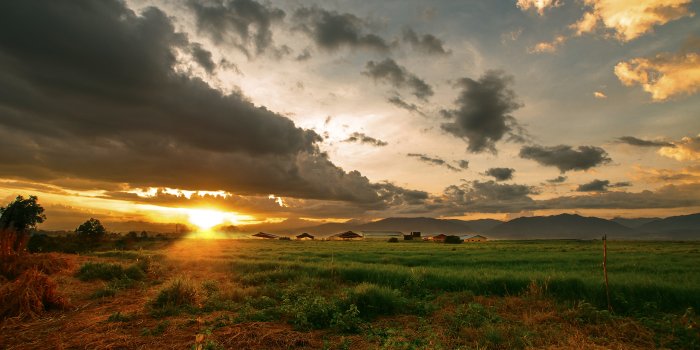 2560x1600 Farm Wallpaper #6838217