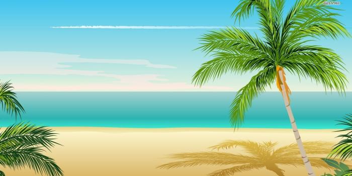 1366x768 coconut tree background hd - Clip Art Library