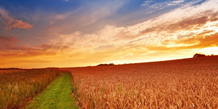 2560x1600 1000+ Best Farm Mac Wallpapers Free HD Download - AllMacWallpaper