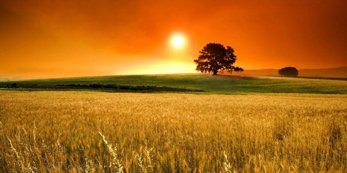 1920x1022 Farming Backgrounds - Background Pictures Of Farms - 1920x1022 Wallpaper -  teahub.io