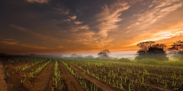 1920x1200 Farm wallpaper | 1920x1200 | #969