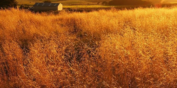 1080x1920 The Gladiator Farm Nature #iPhone #8 #wallpaper | Country farm wallpaper  iphone, Wallpaper, Cool wallpaper