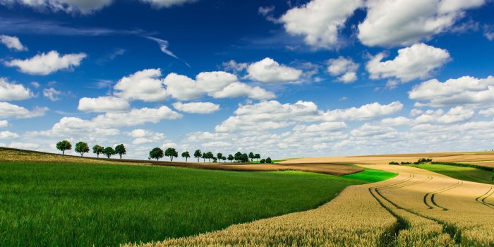 3840x2160 Agriculture 4k Wallpapers