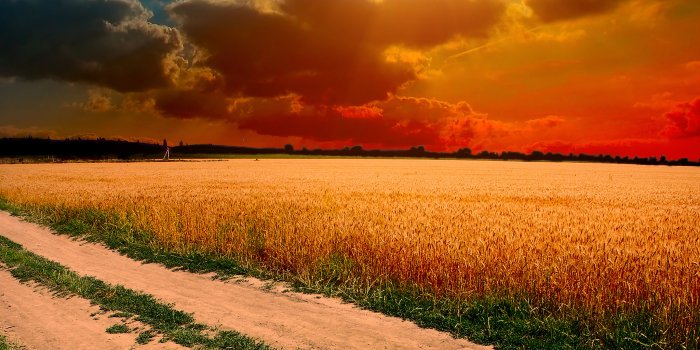 2048x2048 ml99-hot-sunny-day-nature-farm-wallpaper