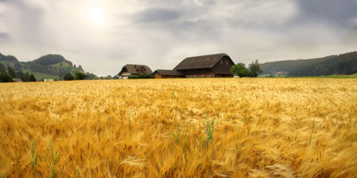 1920x1200 Farm Wallpaper 16690 1920x1200px