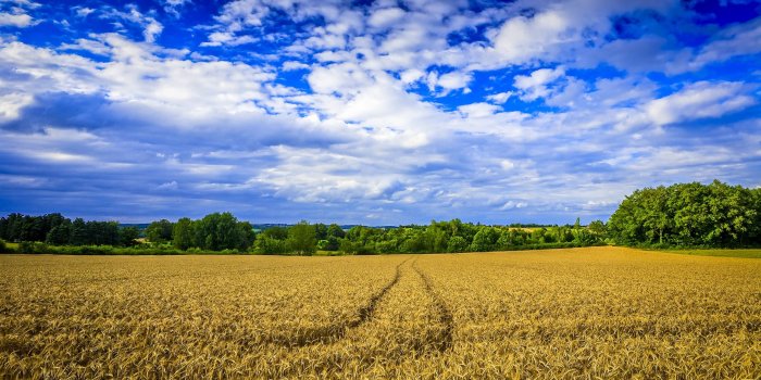2560x1600 2560x1600, Download Farm Wallpaper 2519 Px High Resolution - High  Resolution Farm Background - 2560x1600 Wallpaper - teahub.io