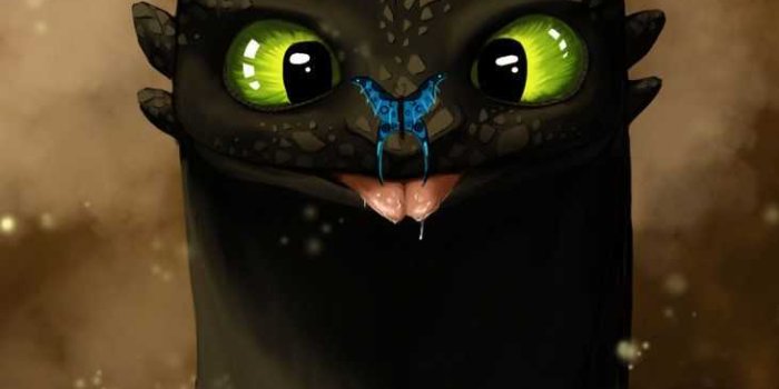 730x1095 Toothless Wallpaper - iXpap