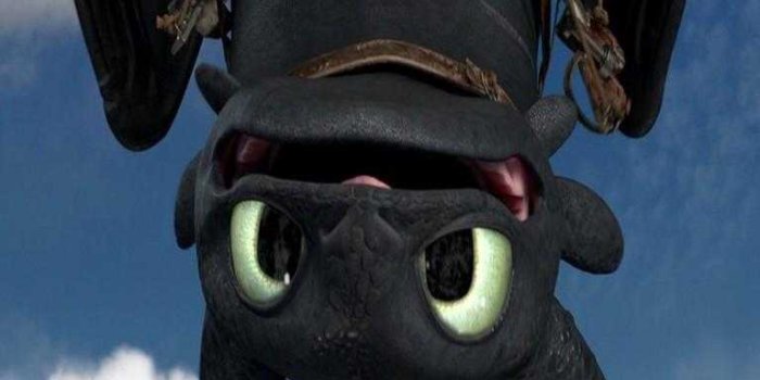 768x1024 Toothless Wallpaper - iXpap
