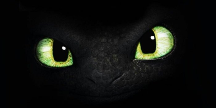 1080x1920 Toothless Phone Wallpapers - Top Free Toothless Phone Backgrounds -  WallpaperAccess