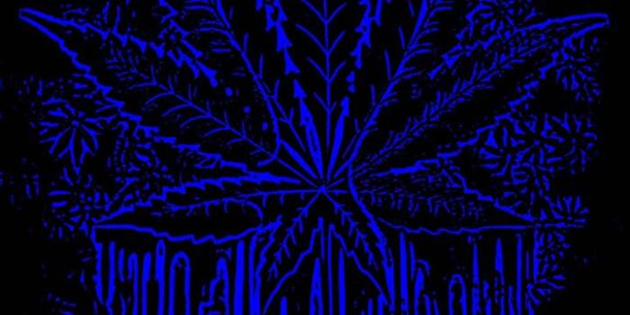 719x1280 Crip Wallpapers : Crip Wallpapers Top Free Crip Backgrounds Wallpaperaccess  - Asnawi Mukmin