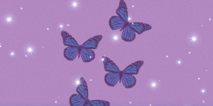 1039x1848 bi ästhetische Schmetterling Tapete | Iphone wallpaper glitter, Butterfly  wallpaper, Butterfly wallpaper iphone