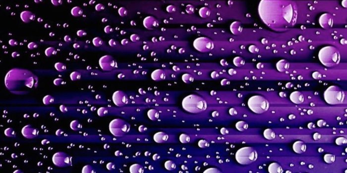 1242x2208 29+] Bi Wallpaper on WallpaperSafari