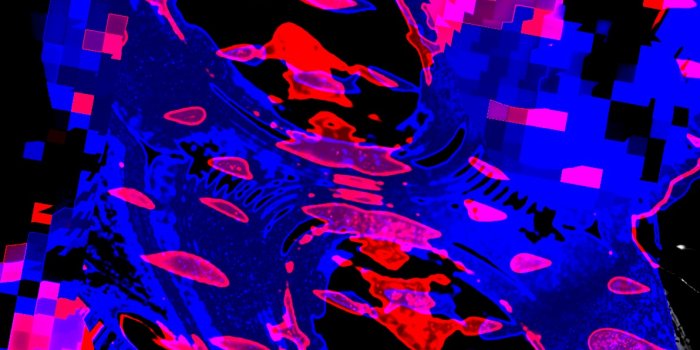 1192x1918 Bi Colors - 1192x1918 Wallpaper - teahub.io