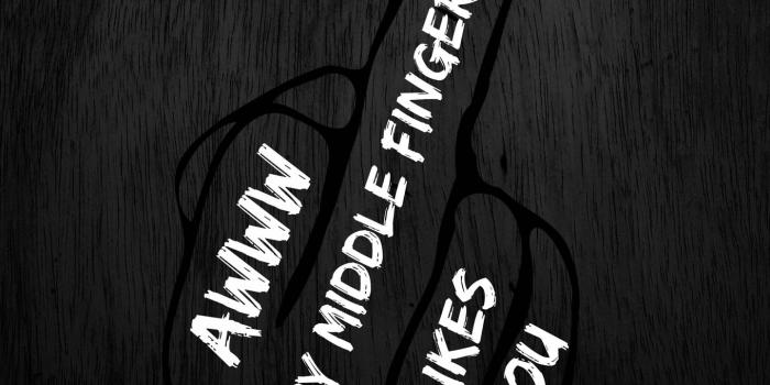 1440x1280 My Middle Finger Likes You Wallpapers