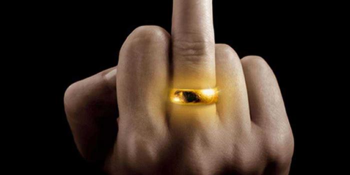 1080x1920 Middle Finger Wallpaper - VoBss