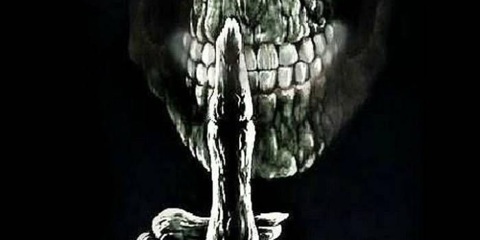 720x1280 Download Funny skeleton wallpaper by risetopoxbox - de - Free on ZEDGE™  now. Browse millions of popular middle f… | Funny skeleton, Scary wallpaper,  Skull wallpaper