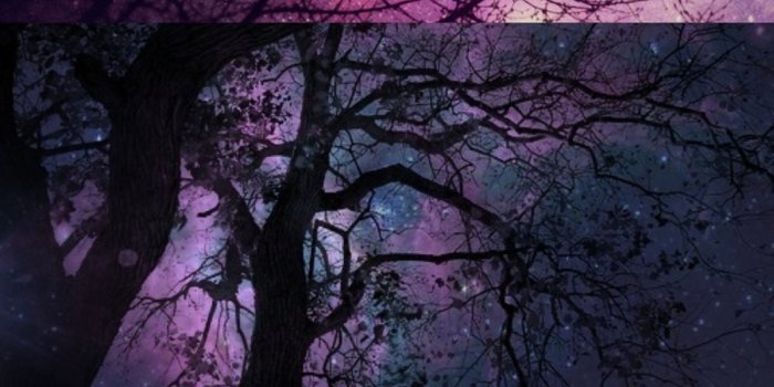 1058x1920 LGBTQIA+ Moodboards and Advice — Bisexual Space and Forrest iphone Wallpaper  for...