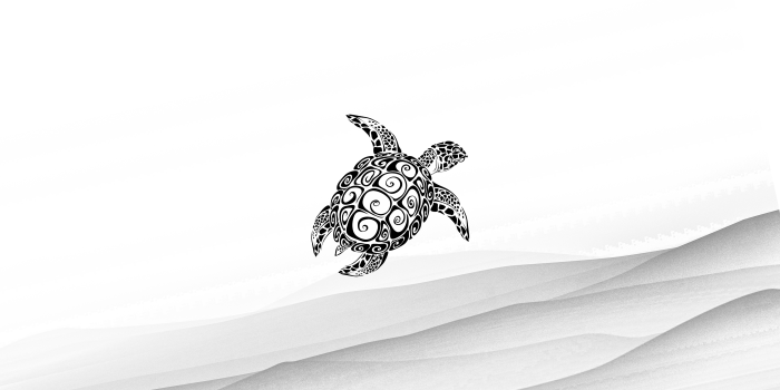 3840x2160 Minimalist Turtle Wallpaper [3840 x 2160] : r/wallpapers