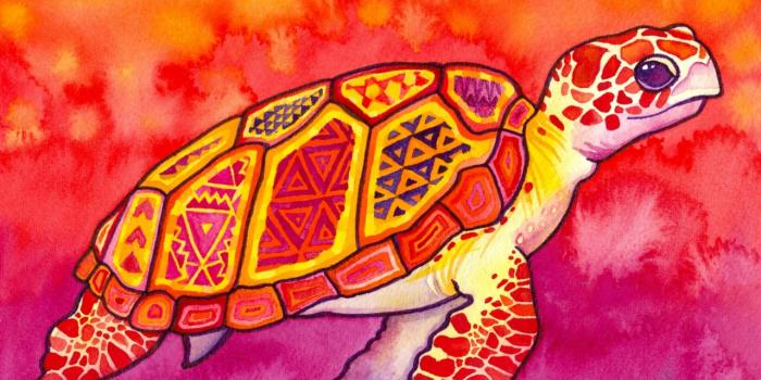 1280x804 Sea Turtle Painting Wallpapers - Colorful Sea Turtle Painting (#3057124) -  HD Wallpaper & Backgrounds Download
