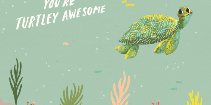 2500x1564 Wallpaper + Zoom Background - Turtley Awesome! — Ohh Deer Blog