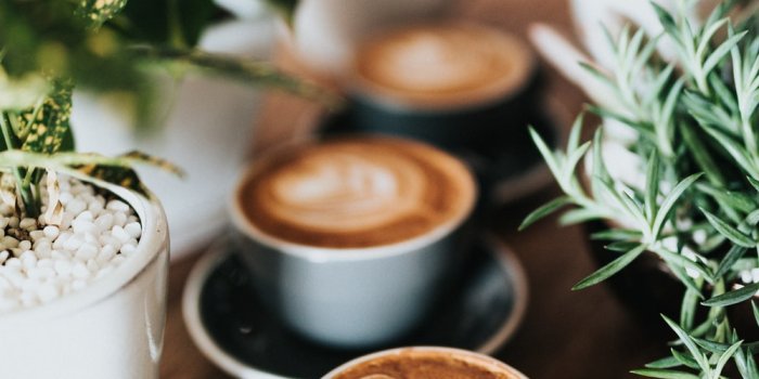 1000x1500 Green Cafe Pictures | Download Free Images on Unsplash