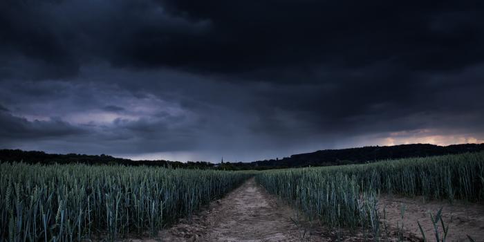 1920x1200 Storm s wallpaper | 1920x1200 | #83806