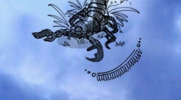 630x1280 Scorpio wallpaper by Gid5th - Download on ZEDGE™ | 415f