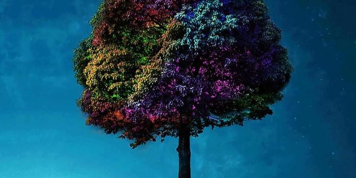 1080x1920 16k Phone Wallpapers