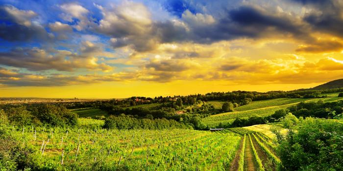 2560x1024 46+] 16K Wallpaper on WallpaperSafari