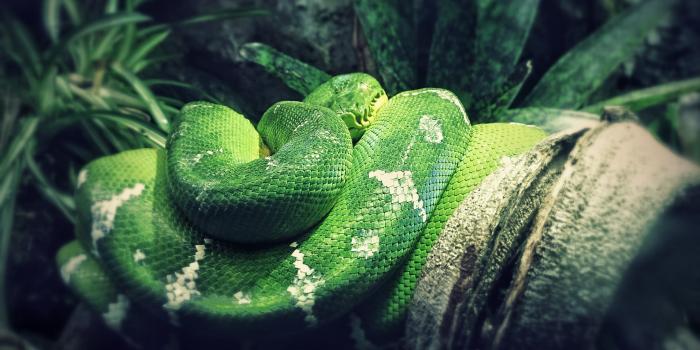 3840x2160 Wallpaper Ultra Hd 16k - 3840x2160 Wallpaper - teahub.io