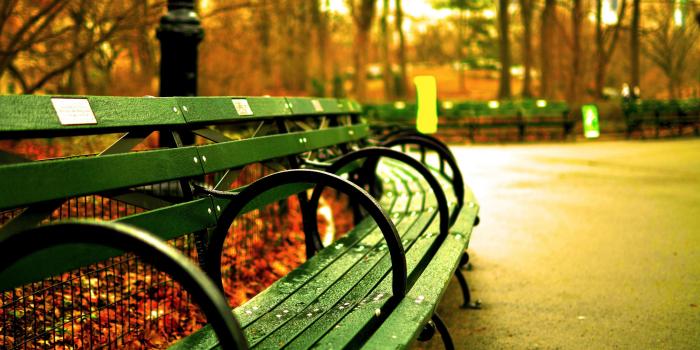 3840x2160 3840x2160 0 16K Ultra HD Wallpapers 16K Ultra HD Wallpapers | Park, Central  park, City travel