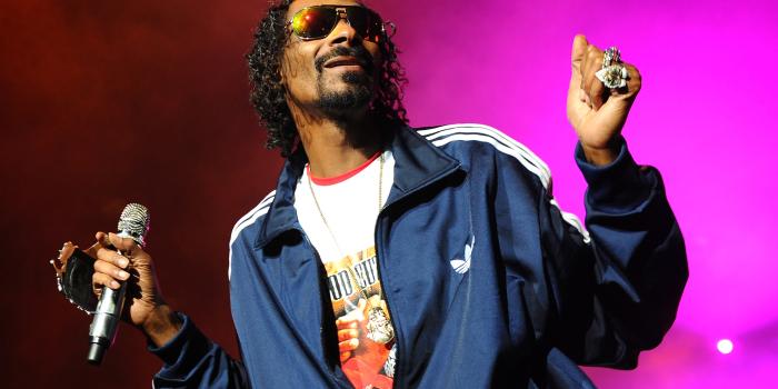 1920x1080 Snoop Dogg Performing Wallpaper 62587 1920x1080px