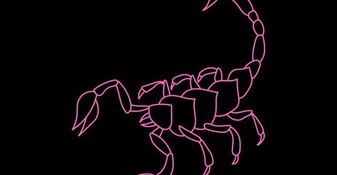 675x1200 Scorpio Flower Wallpapers - Top Free Scorpio Flower Backgrounds -  WallpaperAccess