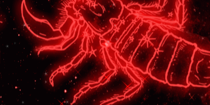 720x1282 scorpio symbol wallpaper | scorpio wallpaper red | scorpio wallpaper zodiac  | scorpio background art | Scorpio, Scorpio symbol, Graffiti wallpaper  iphone