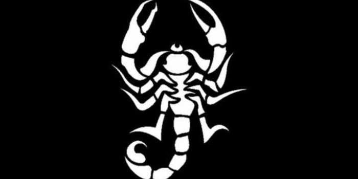 720x1280 Scorpio Anime Wallpapers