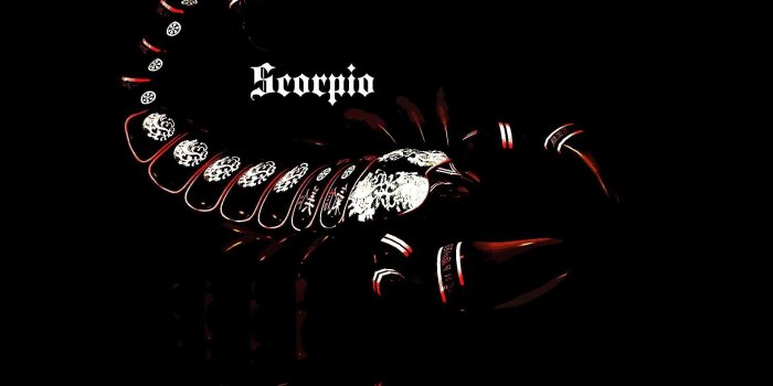1920x1200 Scorpio Wallpapers - Top Free Scorpio Backgrounds - WallpaperAccess