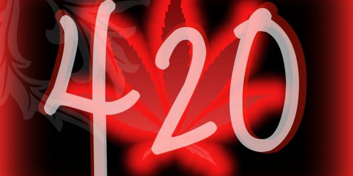 1600x1200 Weeds Wallpaper 420 - 1600x1200 Wallpaper - teahub.io