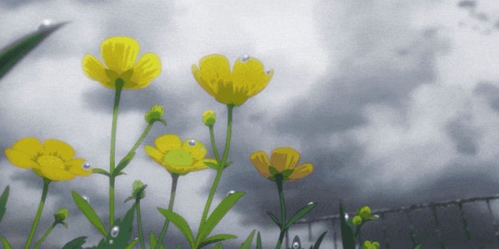 1600x900 Free download First Look At Weathering With You The Follow Up To Your Name  [1600x900] for your Desktop, Mobile & Tablet | Explore 22+ Weathering With You  Wallpapers | Weathering With You