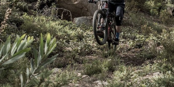 736x1308 Fondos de pantalla de MTB - Los mejores fondos de MTB gratis -  WallpaperAccess | Downhill mountain biking, Mtb, Mountain biking