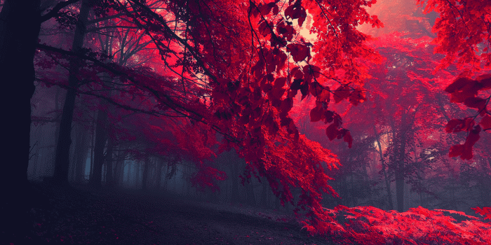 2560x1080 UltraWide Wallpapers