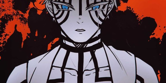 1240x1754 Mobile Akaza Wallpaper - Wallpaper Sun