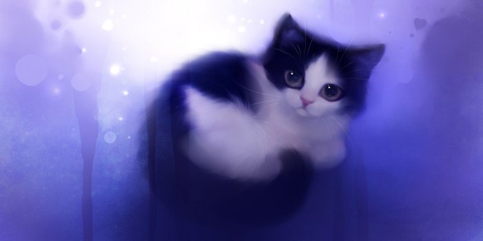 1920x1080 43+] Cute Cat Drawings Wallpaper on WallpaperSafari