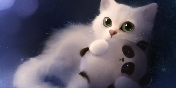 2323x1452 White Kitten, Cute, Big Eyes, Art Cat Wallpaper