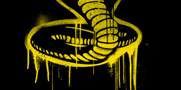 1000x2166 cobra kai wallpaper - Google Search | Karate kid cobra kai, Cobra kai dojo, Cobra  kai wallpaper