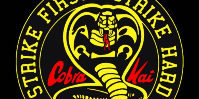 720x1280 Cobra Kai iPhone HD Wallpapers
