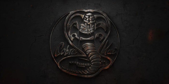 1919x1051 Cobra Kai Wallpapers • TrumpWallpapers
