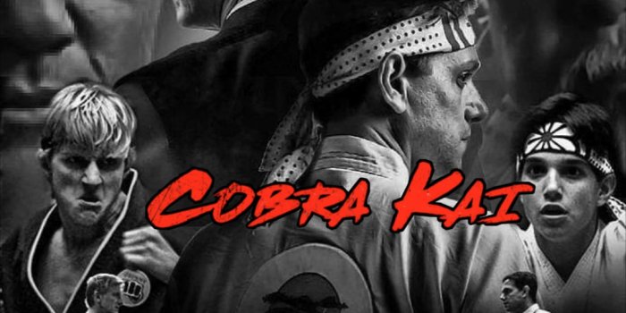 1080x1920 Free download Cobra Kai Background Iphone KoLPaPer Awesome HD Wallpapers  [1080x1920] for your Desktop, Mobile & Tablet | Explore 40+ Cobra Kai  Wallpapers | Cobra Wallpaper, Kai Greene Wallpapers, Cobra Car Wallpaper