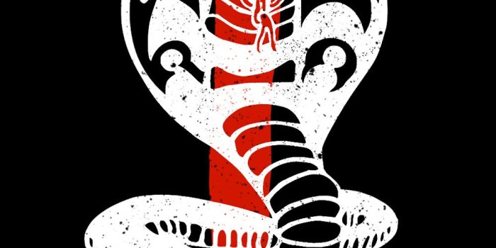 1000x1426 Cobra Kai' wallpapers to reminisce the show's third season; check out | Web  Series