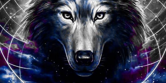 720x1280 Download #GALAXY #WOLF #Wallpaper #by #40888 #- #45 #- #Free #on #ZEDGE  #now. #Browse #millions #of #popular … | Wolf painting, Wolf wallpaper,  Cute animal drawings